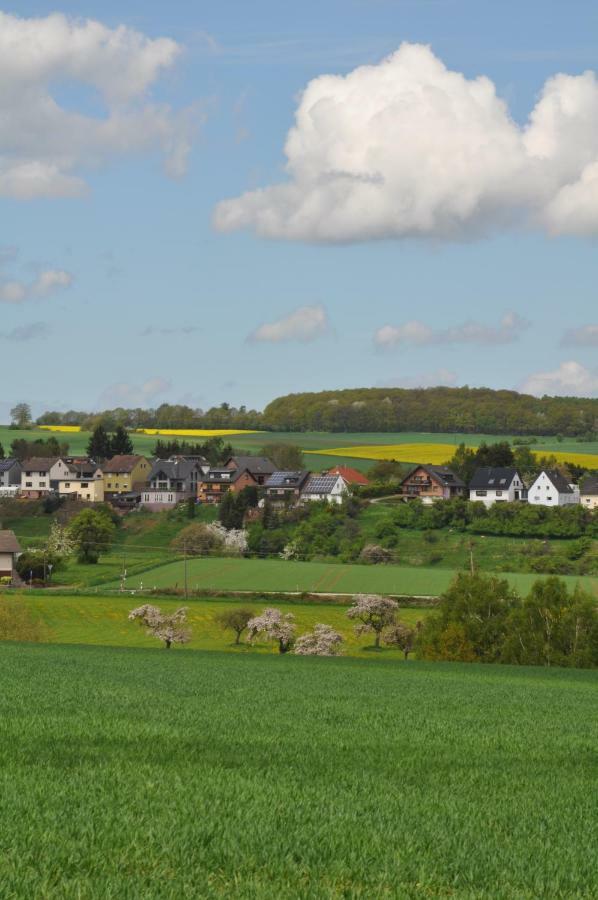 Ferienwohnung Roter Kater Am Nationalpark Eifel Bergbuir Екстер'єр фото